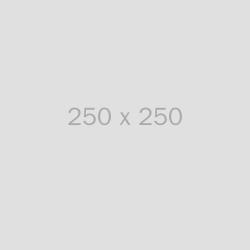 image 250x250